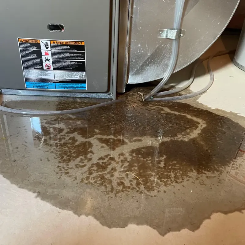 Appliance Leak Cleanup in Albany, KY