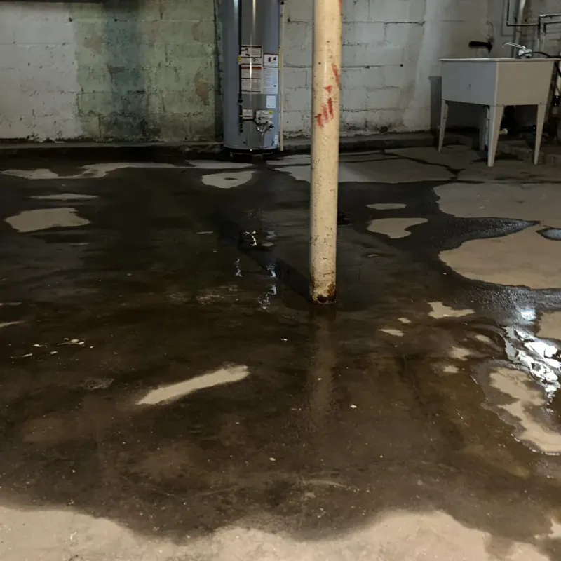 Emergency Water Extraction And Removal in Albany, KY